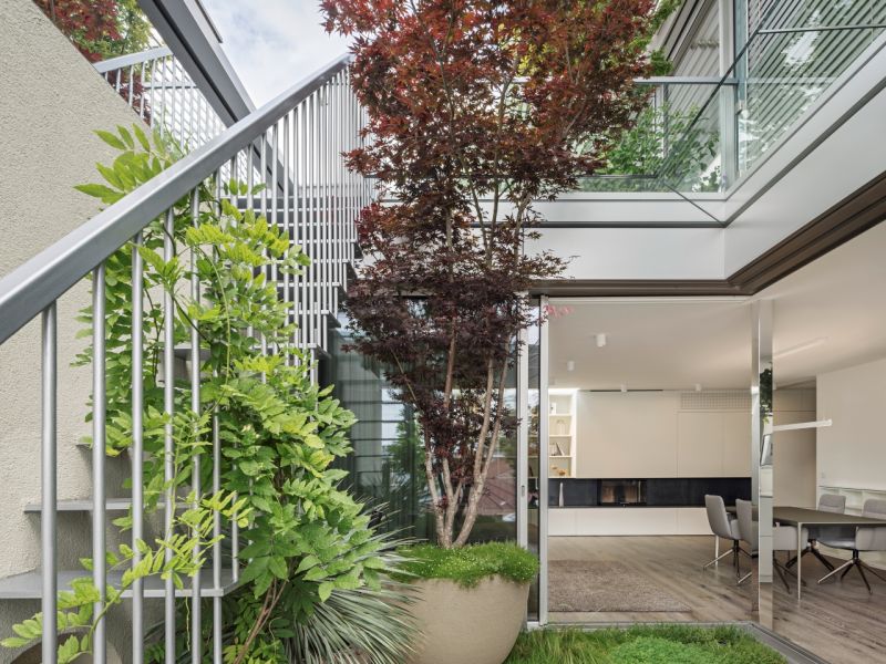 Terrasse mit Pflanzen und einem Glasdach von Livingglas